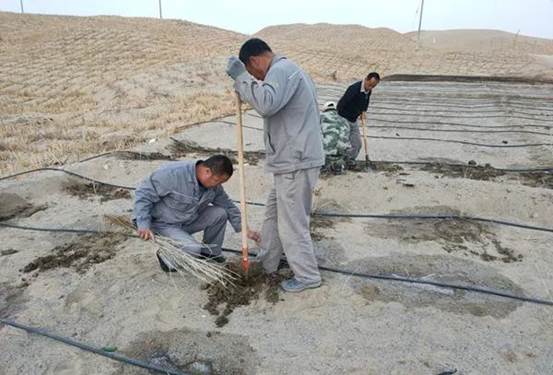 巡线班植树现。ㄖ炖窬 摄）